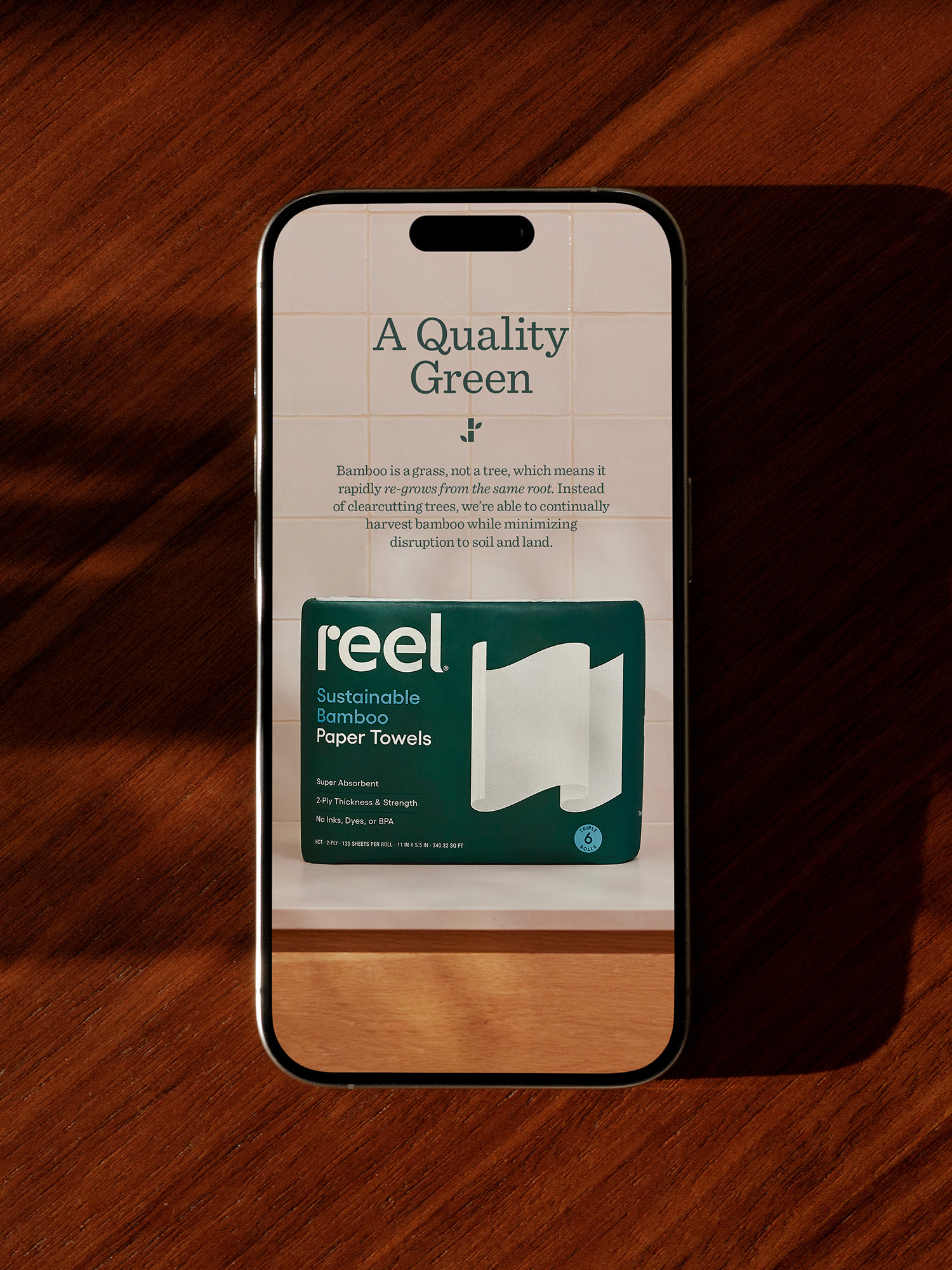 REEL_17